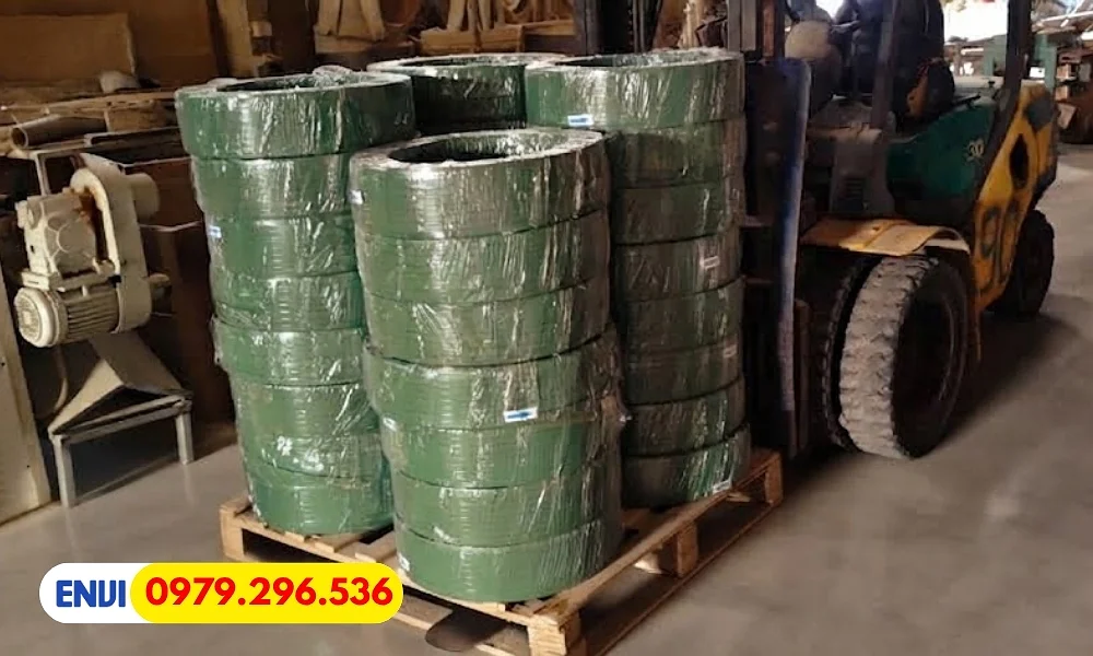 ENVI VINA cung cấp dây đai PET xanh giá rẻ uy tín
