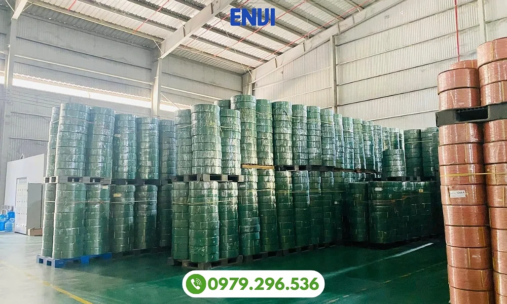 Tổng kho dây đai nhựa PET ENVI VINA